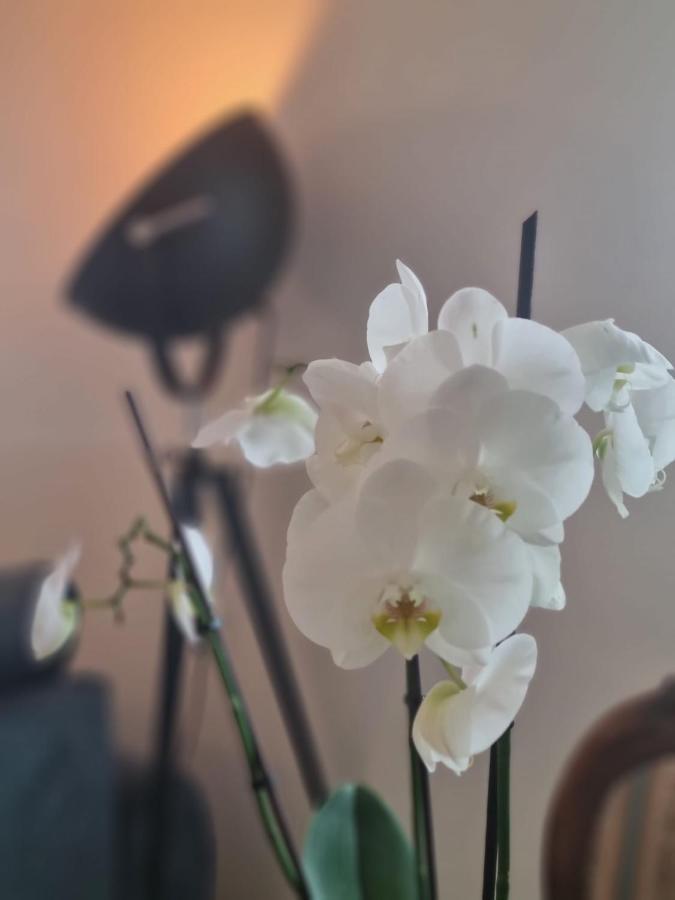 Wellness Ferienhaus Mechernich Ngoại thất bức ảnh